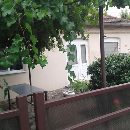 Pensiunea Casa Didina Бакеу Екстер'єр фото