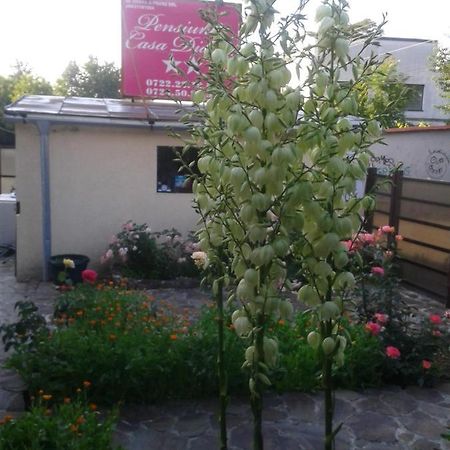 Pensiunea Casa Didina Бакеу Екстер'єр фото
