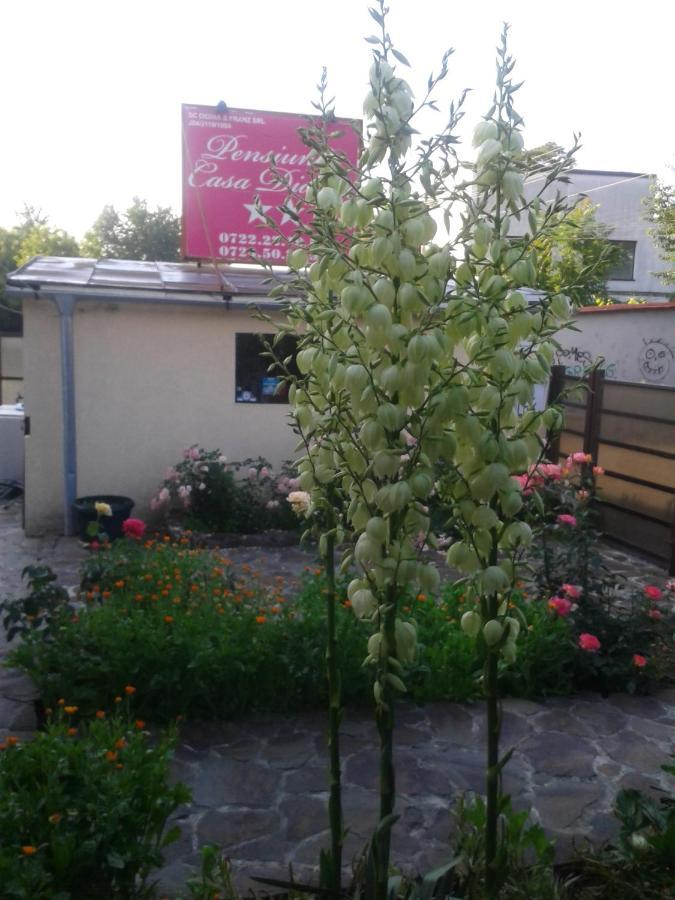 Pensiunea Casa Didina Бакеу Екстер'єр фото