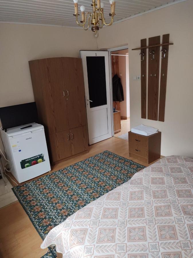 Pensiunea Casa Didina Бакеу Екстер'єр фото